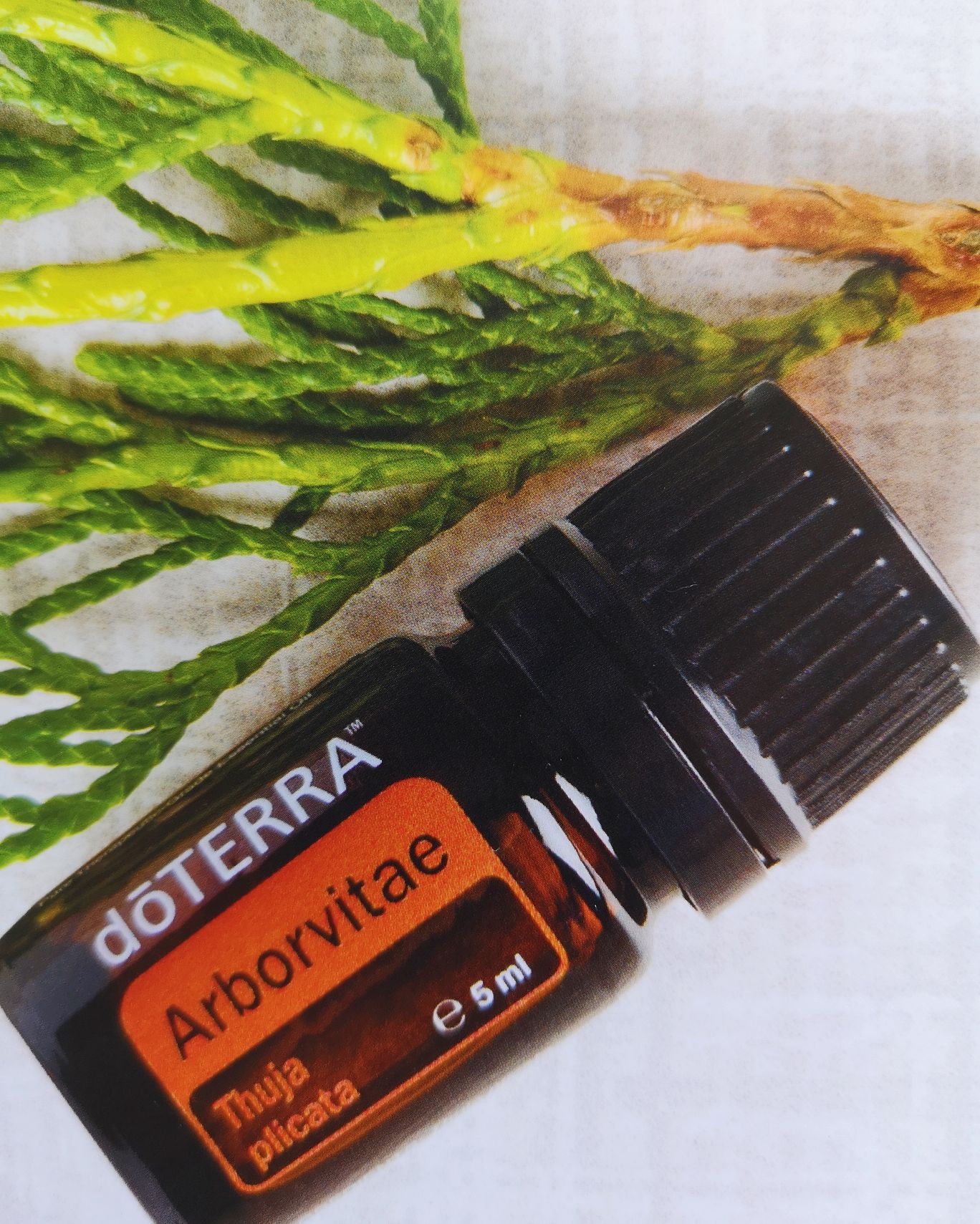 doterra szemölcs)